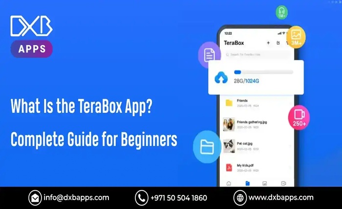 terabox online play