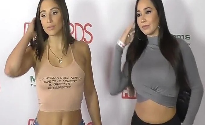 abella danger net worth