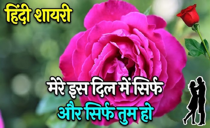 love shayari😍