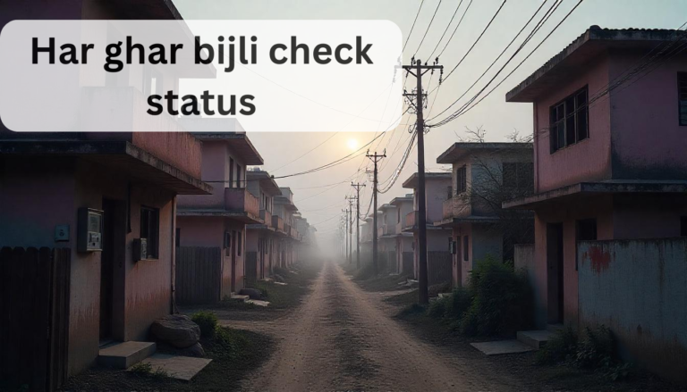 har ghar bijli check status