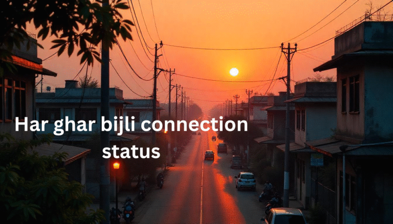 har ghar bijli connection status